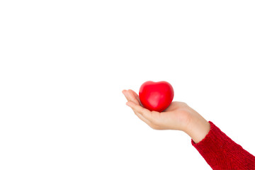 heart in hands isolated on white background with clipping path