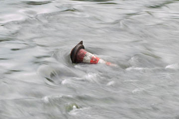 Traffic cone