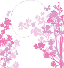 Apple blossom illustration