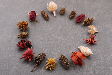 Circle dried decoration plants. Dried florist supplies on stone backgroound.