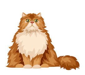 Vector illustration of a fluffy Persian cat isolated on a white background.