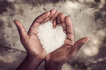 Foto op Canvas Hands holding rice © soupstock