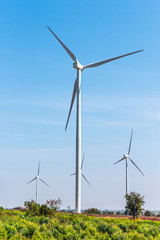 Fototapeta premium Eco power. Wind turbines generating electricity