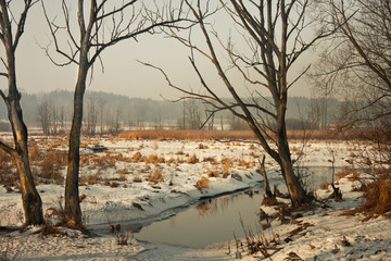 Zimowy krajobraz nad rzeką © Mariusz Stoszewski