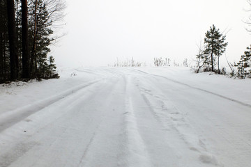 Winter fog forest road. Pure snowy path with traces of the car. Tender silence of the cold areas. Hazy idyll of infinity and beauty.