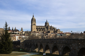 Fototapeta na wymiar Roman bridge and cathedral in Salamanca, Spain