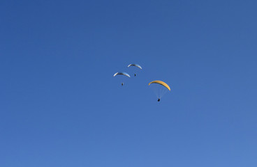 paraglider in the sky 
