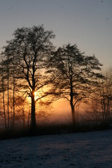 Fototapeta premium Sonnenuntergang mit Nebel