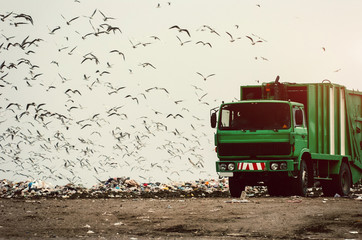 Green garbage truck on a landfill 