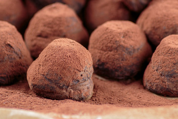 Chocolate truffles filled with caramelized hazelnut chips and cowered with cocoa powder