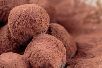 Chocolate truffles filled with caramelized hazelnut chips and cowered with cocoa powder