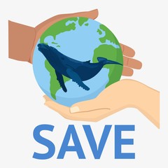 Blue Whale illustration