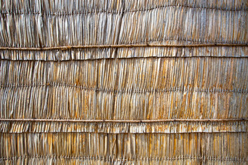 Wall from dead dry palm leaf, nature texture background