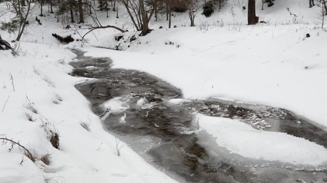 Static shoot over a frozen creek into the forest during winter
