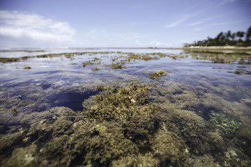 Beach with transparent water