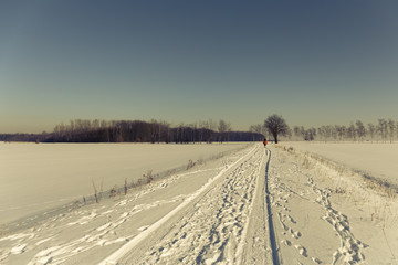 Fototapeta na wymiar winter walking