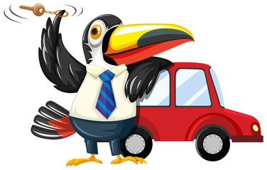 Toucan spinning carkey by the car
