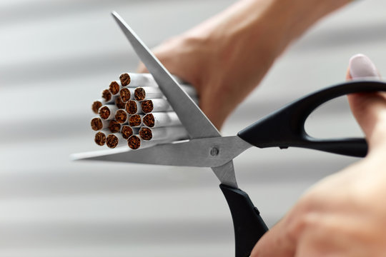 Quit Smoking. Closeup Of Woman Hands Cutting Cigarettes