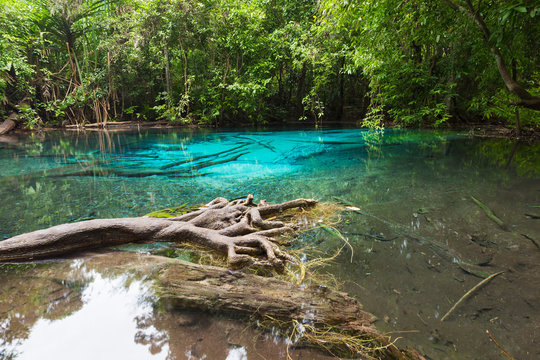 Unseen Emerald Pool locate in deef forest of national park Krabi in Thailand