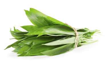 A bunch of wild garlic leaves on a white background