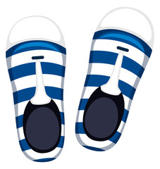 Pair of shoes with blue stripes