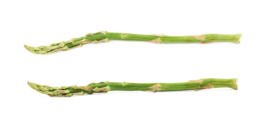 Single spear of asparagus isolated