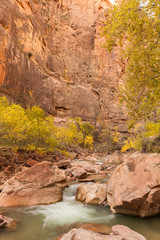 Scenic Virgin River Zion national Park in Fall