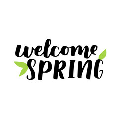 Vector seasonal greeting card of hand-written spring brush lettering. Spring collection black ink and green floral elements on white isolated background. Trendy greenery color of spring 2017.