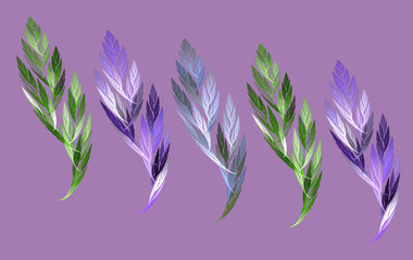 a fractal leaf and feather