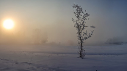 Fototapeta na wymiar Winter misty sunrise on the river.