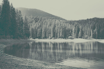 Fototapeta premium Black and white landscape background