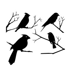 A Bird Perched on a Branch Vector Silhouette Set