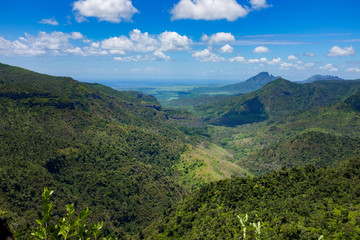 Fototapeta na wymiar Jungle paradise on Mauritius