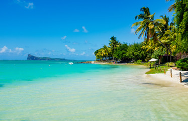 Fototapeta na wymiar amazing white beaches of Mauritius island. Tropical vacation
