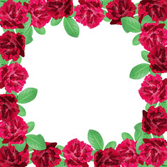 Beautiful floral background of dark red roses 