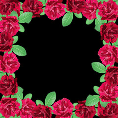 Beautiful floral background of dark red roses 