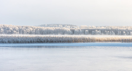 Cold winter morning sunrise lighting up frozen nature in Estonia.