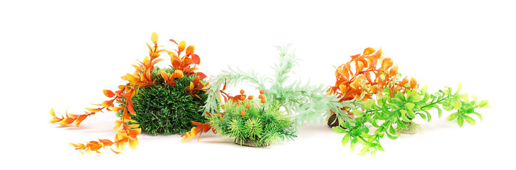 Decorations for aquarium isolated on a white background, aquarium accessories