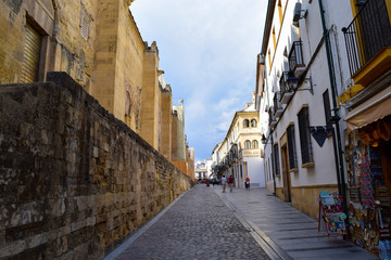 Fototapeta na wymiar Street along the Mezquita of Cordoba, Spain