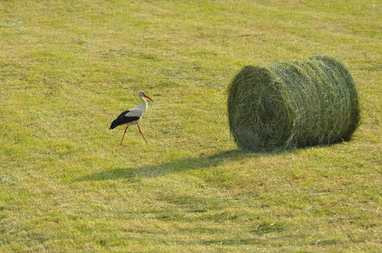 Polska - Mazury - Warmia