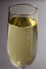 Glass of champagne 