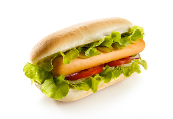Hot dog on white background 