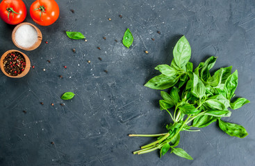 Cooking background. Kitchen table with spices (salt and pepper), mozzarella, tomatoes and fresh basil, top view, copy space