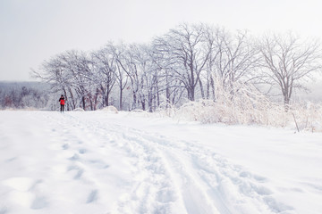 Cross country skier on a trail
