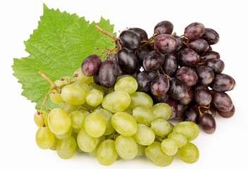 isolated grapes