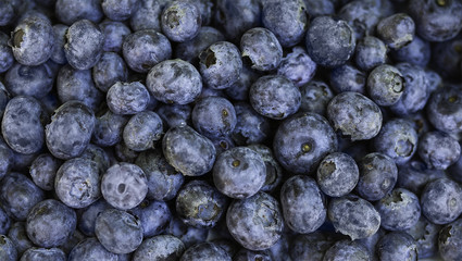 Blueberries from above