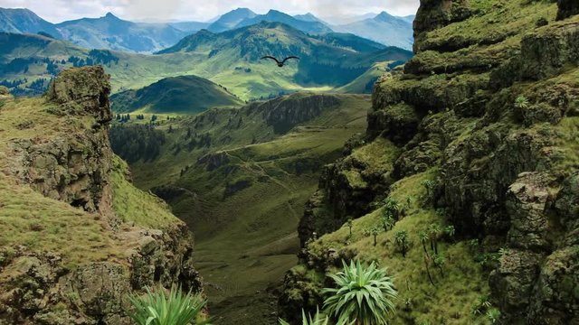 A eagle flying in the mountains