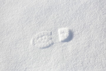 Single foot step on snow ground.