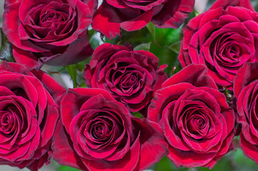 a bouquet of red roses view from above