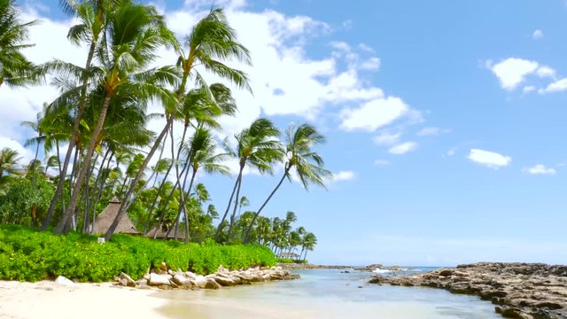 Tropical island. Palm trees on the sandy beach